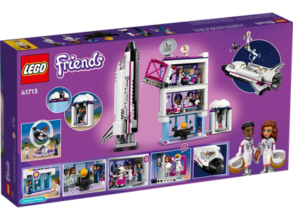 LEGO® set 41713