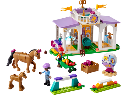 LEGO® set 41746