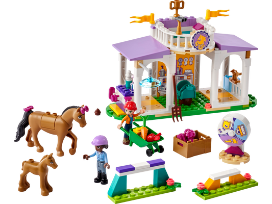 LEGO® set 41746