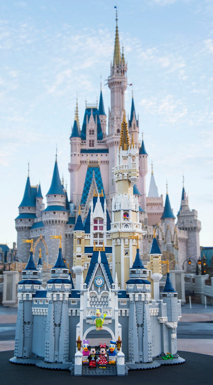 Disney Castle