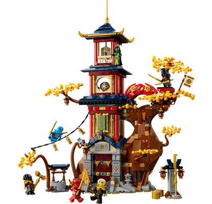 LEGO® set 71795